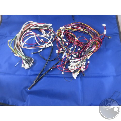 Complete Wire Harness