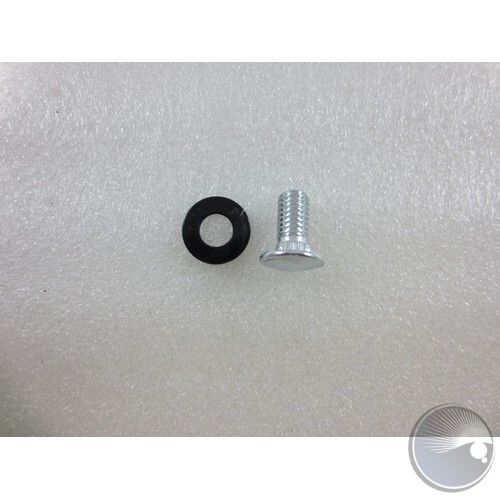 SCREW ASSEMBLY FOR BRACKET