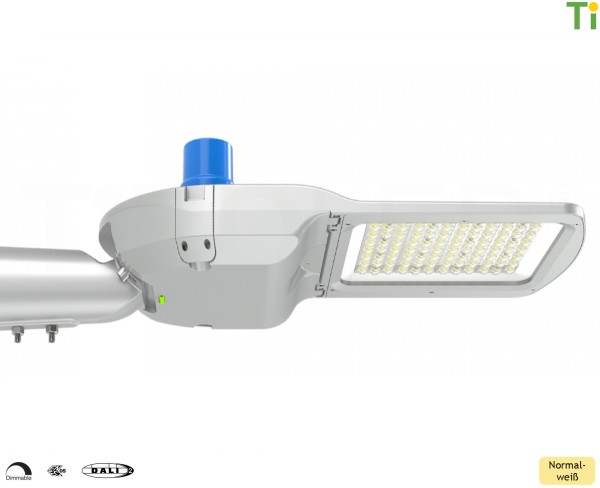 120 Watt LED Straßenleuchte mit Tageslichtsensor | DALI-2 | normalweiß - 4000 K | 18000 lm | IP66 -