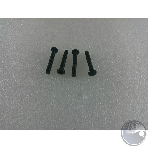 M4*25 Screw Goes to PTH2030201448615