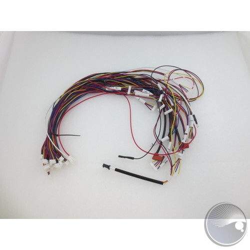 Complete Wire Harness From Arm to head