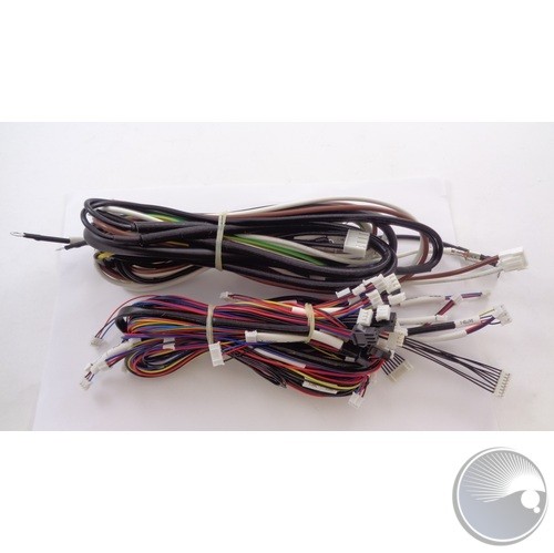 Complete Wire Harness