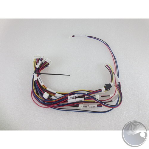 B MODULE - WIRE HARNESS