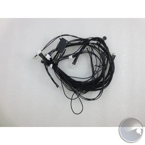 Complete Wire Harness