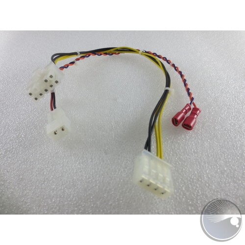 Cable Assembly MQ50/70 DC/Relay-Coil/Battery